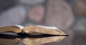 a book with gold pages laying open on a table