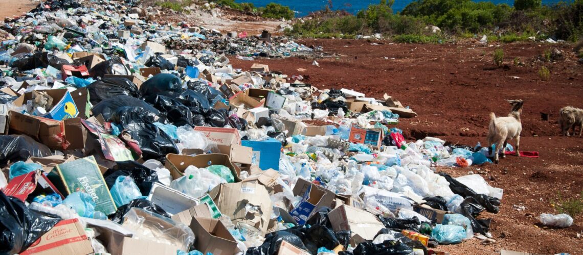 Roger E. Merritt Jr.